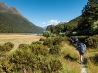 Walking to McKellar Hut (Greenstone-Caples Jan 2021)