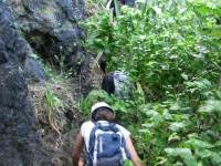 Following James (Hen Island)