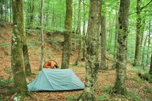 Camp near lake (Slovenia)