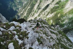 Cris amongst rubble (Triglav NP, Slovenia)