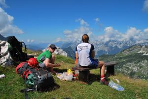 Feeding time (Triglav NP, Slovenia)