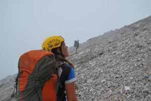 Grivel looks up (Triglav Nat. Park, Slovenia)