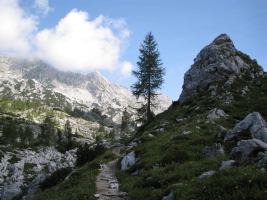 Nice view (Triglav NP, Slovenia)