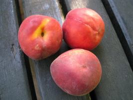 Peaches (Jesenice, Slovenia)