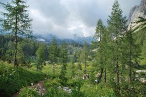 View towards hut (Triglav NP, Slovenia)