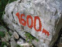 1600m (Slovenia)