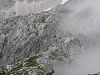 Animal on ridge (Triglav Nat. Park, Slovenia)