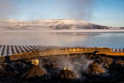 Little thermal ovens (Iceland January 2023)