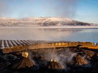 Little thermal ovens (Iceland January 2023)