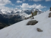 Snow (Düsseldorfer Hütte Tramp)
