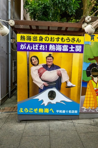 Ari and sumo (Japan 2024)