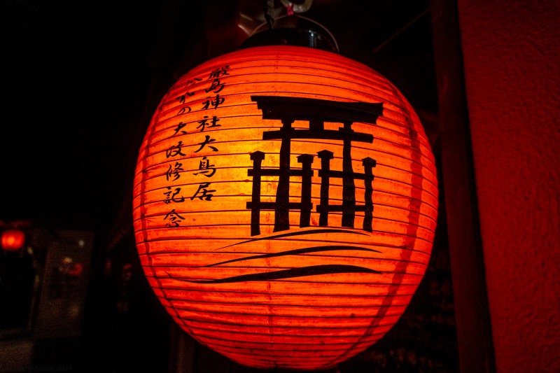 Red lamp (Japan 2024)