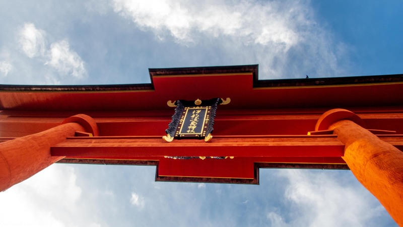 Torii in the sea (Japan 2024)