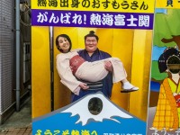 Ari and sumo (Japan 2024)