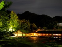 Evening on the island (Japan 2024)