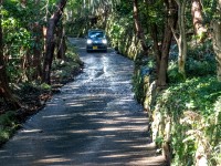 Little roads in the hills (Japan 2024)