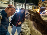 Oh deer (Japan 2024)