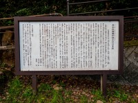  (Japan 2024)