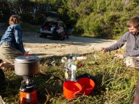 Dinner time (Kahurangi Point Jan 2021)