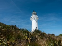 The lighthouse (Kahurangi Point Jan 2021)