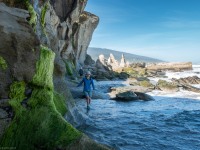 Walking along the coast (Kahurangi Point Jan 2021)