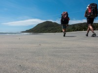 Walking back (Kahurangi Point Jan 2021)