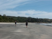Walking in (Kahurangi Point Jan 2021)