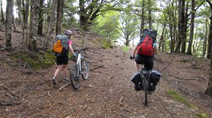 Riding through the forest (30th Birthday Bash)