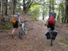 Riding through the forest (30th Birthday Bash)