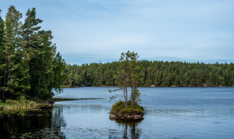 View of the lake (Kayaking Sweden Sept 2023)