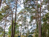 Our camp (Kayaking Sweden Sept 2023)