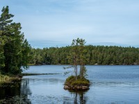 View of the lake (Kayaking Sweden Sept 2023)