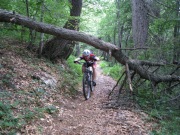 Cris rides under a fallen tree (Lago di Garda, Italy)