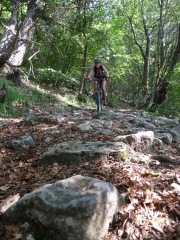 Frauke descending through forest 3 (Lago di Garda, Italy)