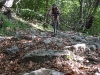 Frauke descending through forest 3 (Lago di Garda, Italy)