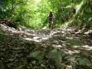 Frauke on another trail (Lago di Garda)