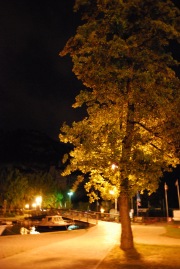 Tree at night (Lago di Garda)