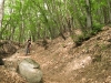 Frauke descends on a trail (Lago di Garda)