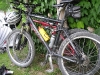 Birds eating bikes (Lago di Garda, Italy)