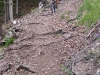 Frauke on single track (Lago di Garda, Italy)