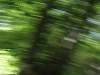 Green blur (Lago di Garda, Italy)
