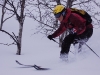Emily and trees (Tomakdalen, Norway)