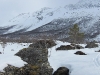 Snow and rocks (Tomesrenna, Norway)