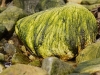 Tim's green rock (Koppangen, Norway)