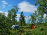 Camp (Midtnattsolgaloppen 2009)