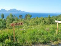 Near start (Midtnattsolgaloppen 2009)