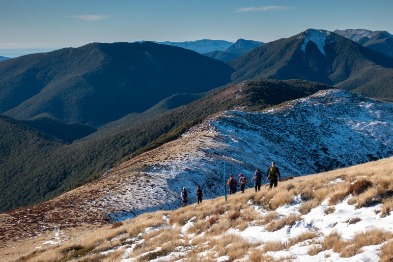 Going back down (Walk up Mt Arthur July 2021)