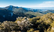 Nice view (Walk up Mt Arthur July 2021)