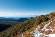 Nice weather (Walk up Mt Arthur July 2021)