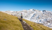 View towards Mt Arthur (Walk up Mt Arthur July 2021)